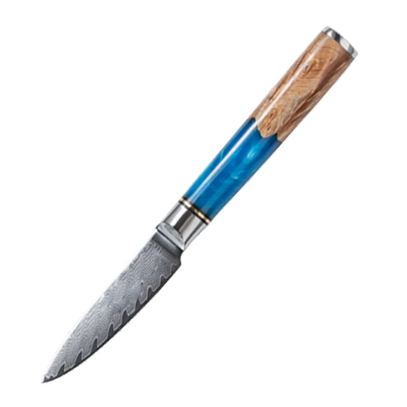 Kitchen Knives-Set Damascus Steel VG10 Chef Knife Cleaver Paring Bread Knife Blue Resin Handle  set

Kochtöpfe,Topf Set. Küche