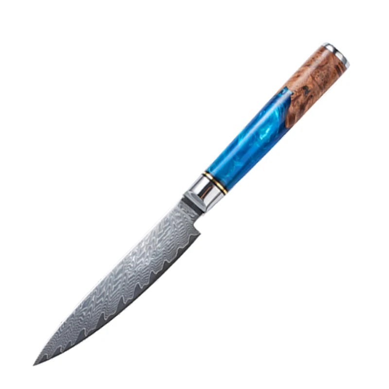 Kitchen Knives-Set Damascus Steel VG10 Chef Knife Cleaver Paring Bread Knife Blue Resin Handle  set

Kochtöpfe,Topf Set. Küche